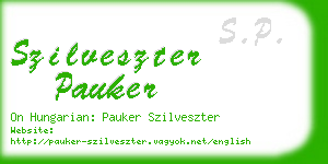 szilveszter pauker business card